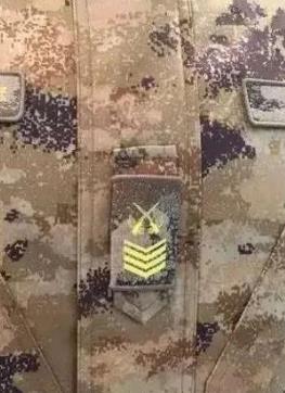 和平大面外墙建议图案比例协调